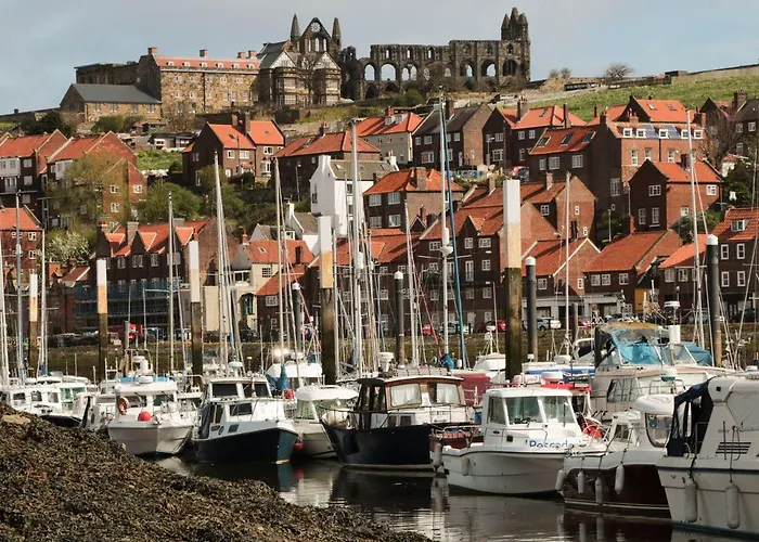 Stephenson Tatil Evi *